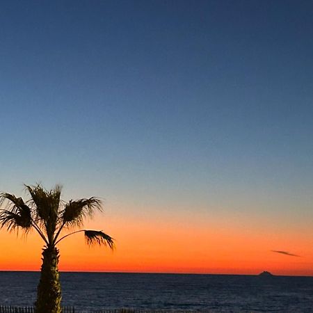 Petite Endroit Splendide. Apartamento Six-Fours-les-Plages Exterior foto