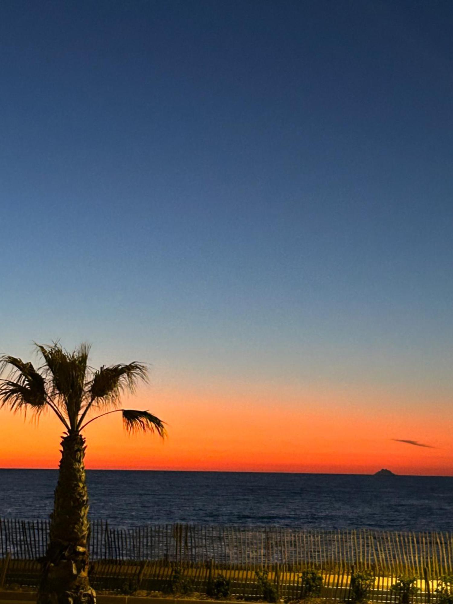 Petite Endroit Splendide. Apartamento Six-Fours-les-Plages Exterior foto