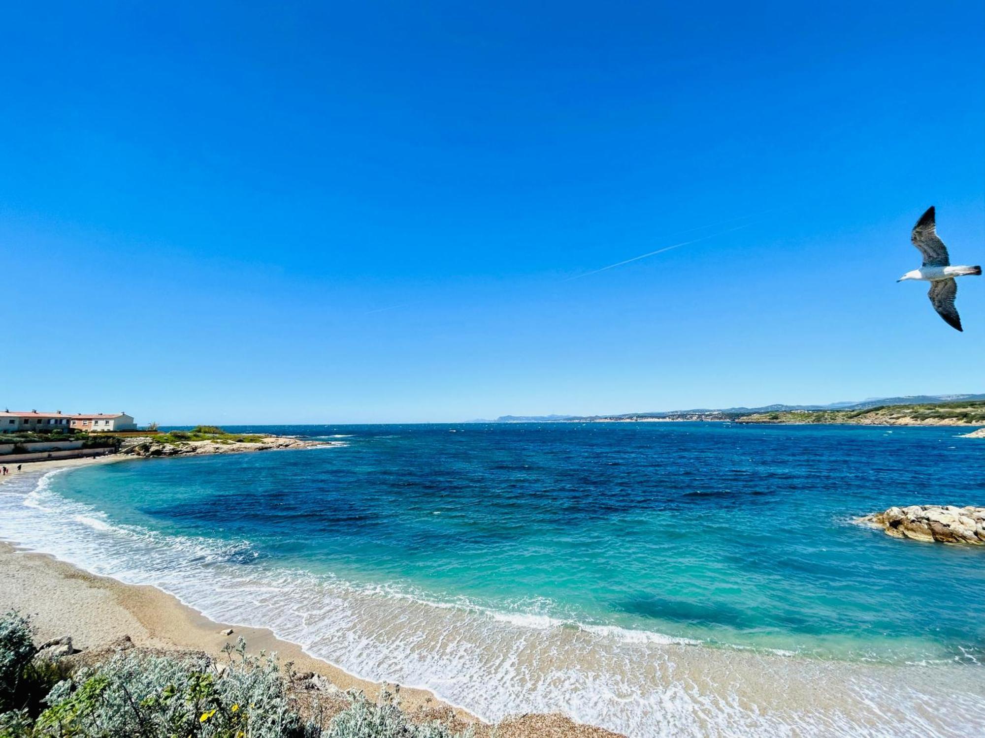 Petite Endroit Splendide. Apartamento Six-Fours-les-Plages Exterior foto